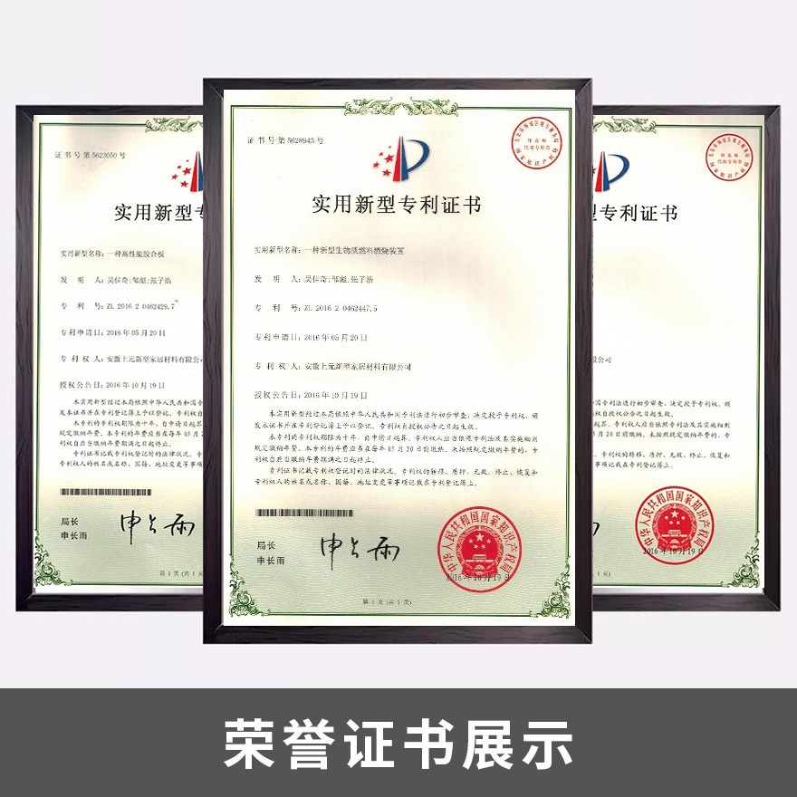 新型生物質燃料燃燒裝置