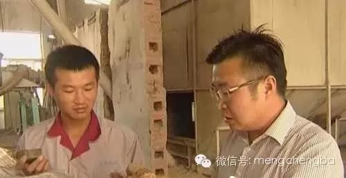 蒙城縣致富帶頭人吳佳奇：80后小伙的返鄉創業路